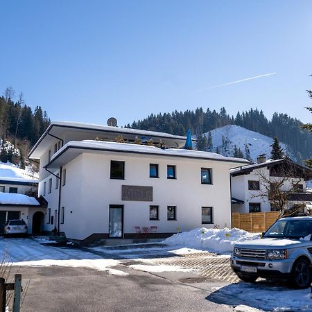 Tirola Bude Sepp Top 4 Hopfgarten im Brixental Exteriör bild